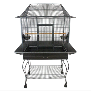 Buy large parrot cage