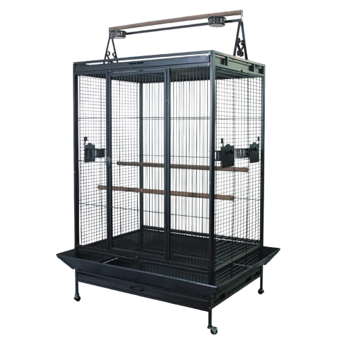 Parrot Cages for Sale